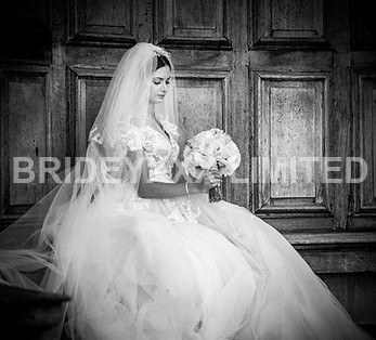  Artisic Bride Portrait in Black and White